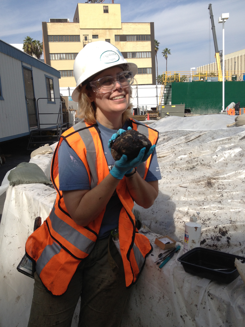 Illustration for article titled Ice Age Fossils Are Being Unearthed By L.A.'s Subway Construction
